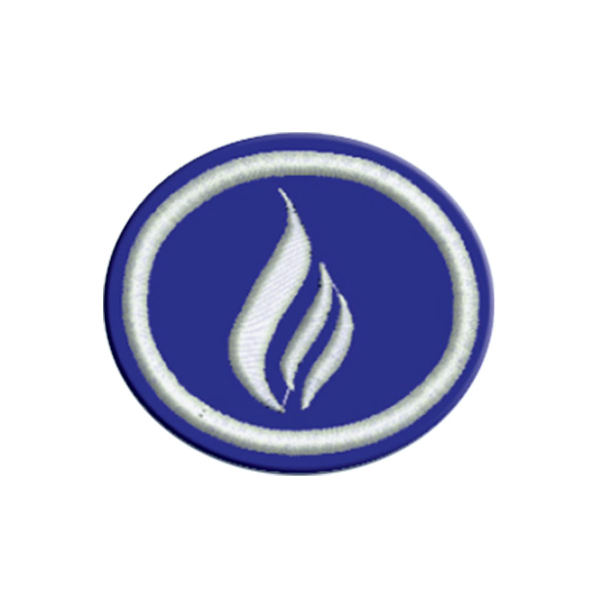 ESPECIALIDAD DE ESPÍRITU DE PROFECÍA - AM 0371