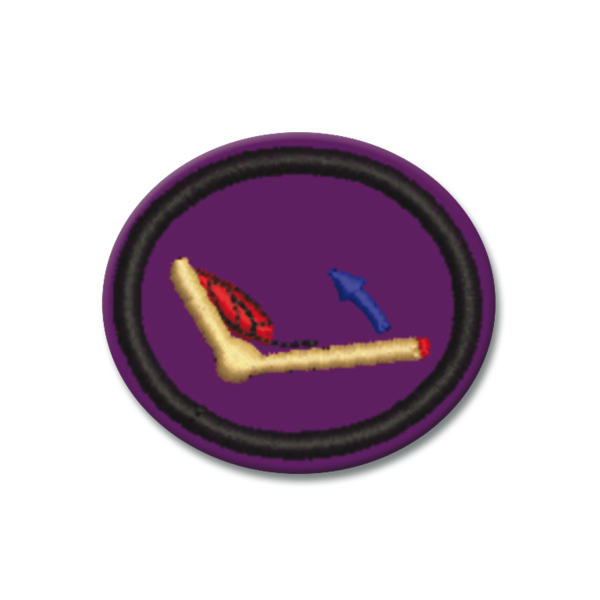 ESPECIALIDAD DE HUESOS, MÚSCULOS Y ARTICULACIONES - CS0161