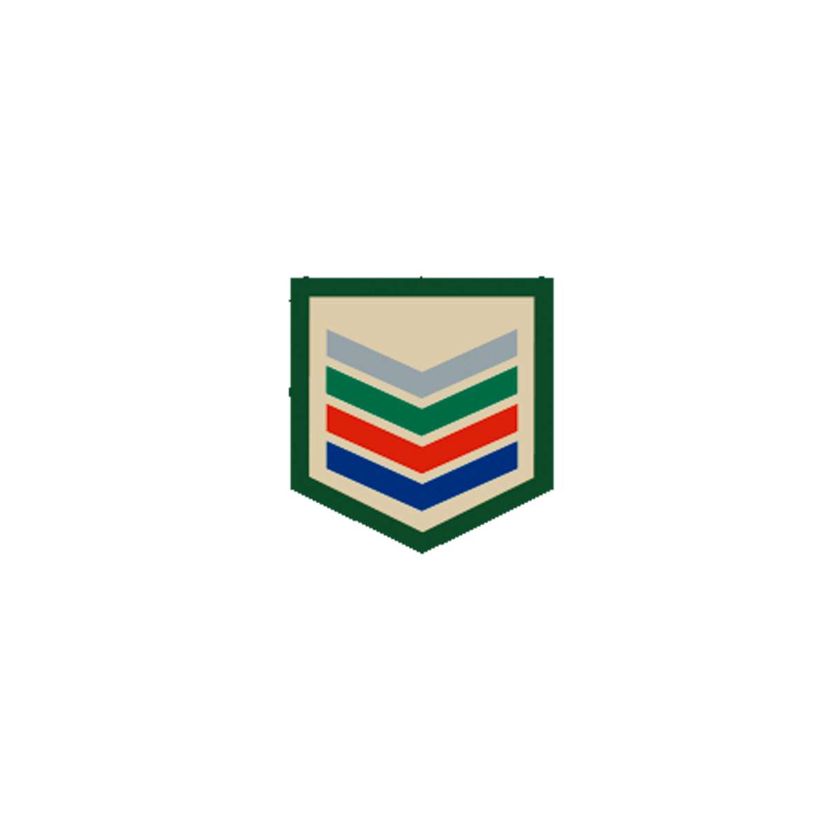 DIVISA DE LA CLASE DE AMIGO A PIONERO1