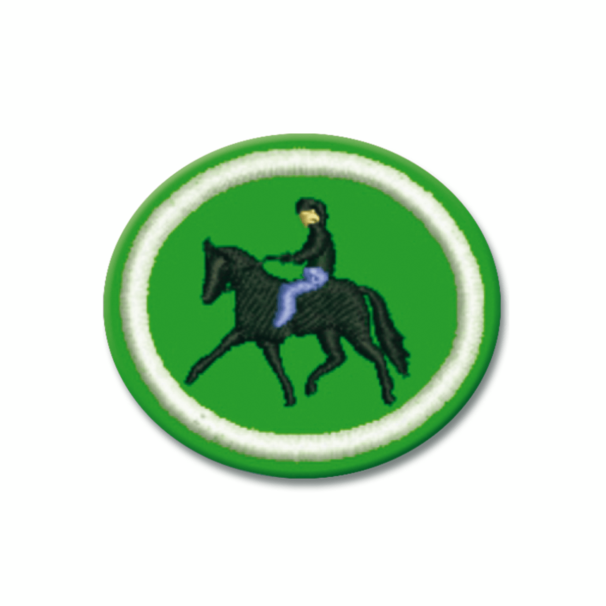 ESPECIALIDAD DE EQUITACIÓN - AR0251