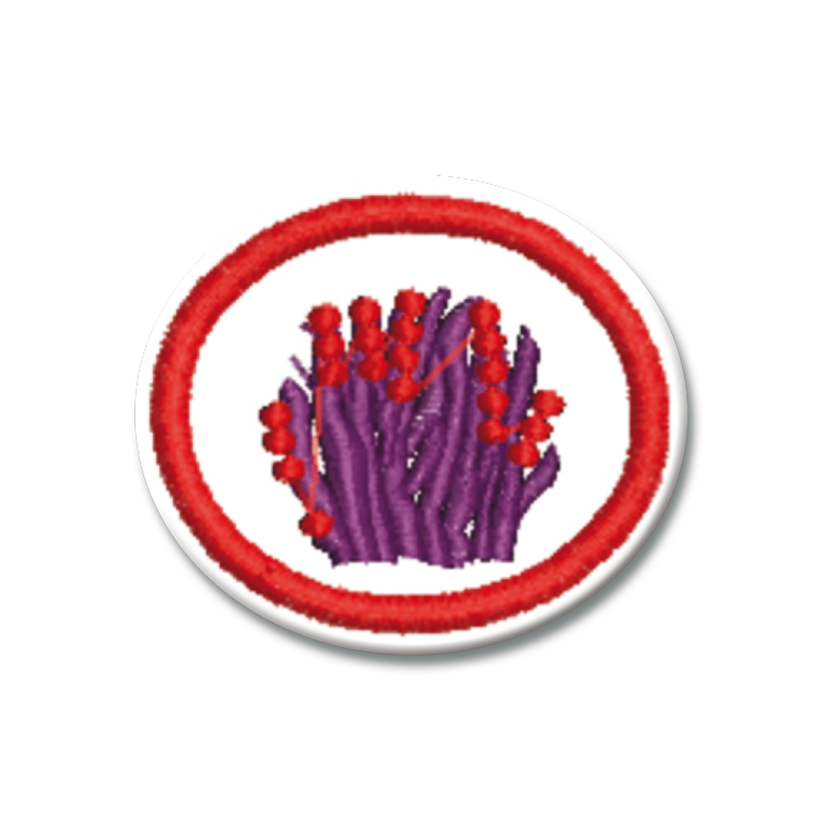 ESPECIALIDAD DE HIERBAS - EN0381