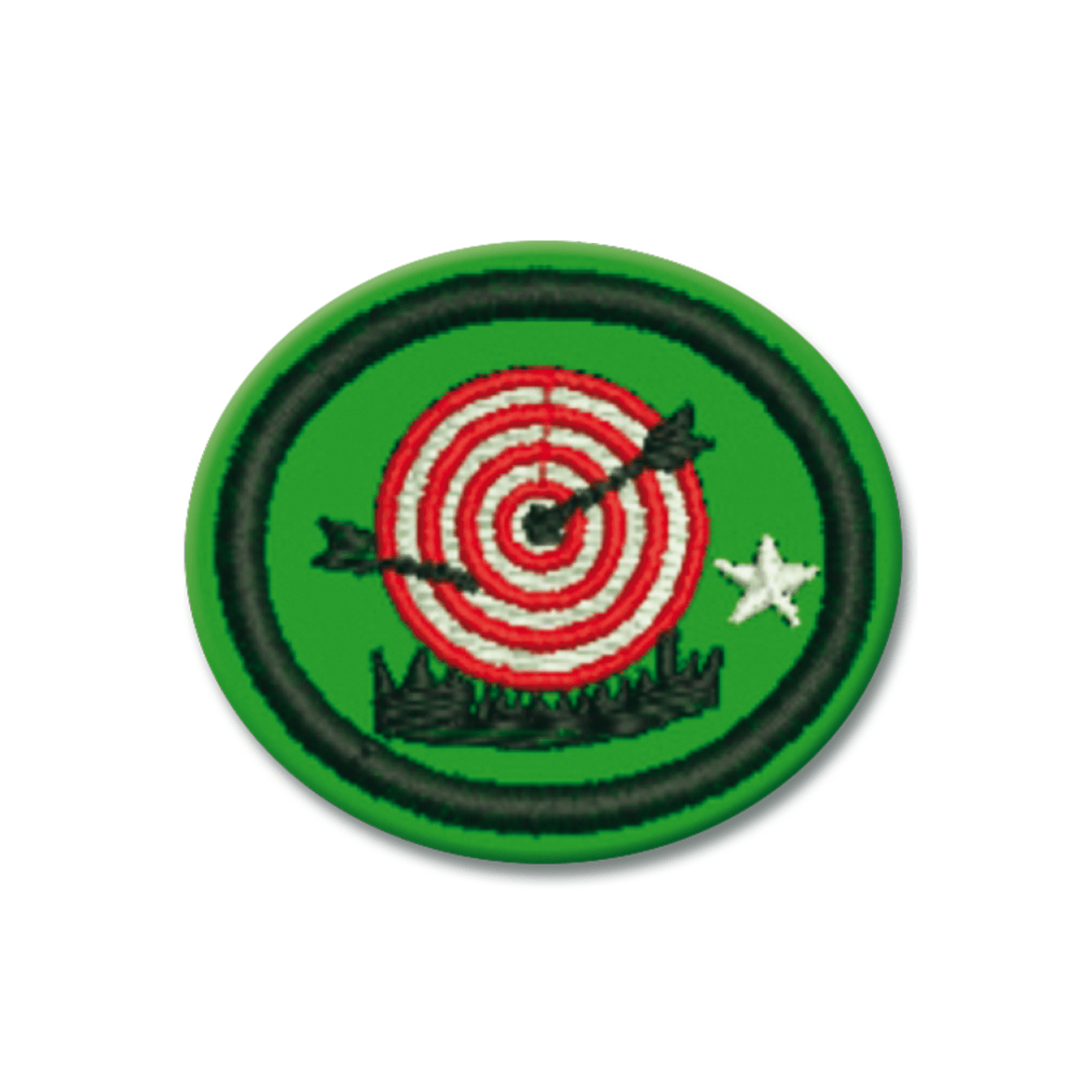 ESPECIALIDAD DE ARCO Y FLECHA AVANZADO - AR0411