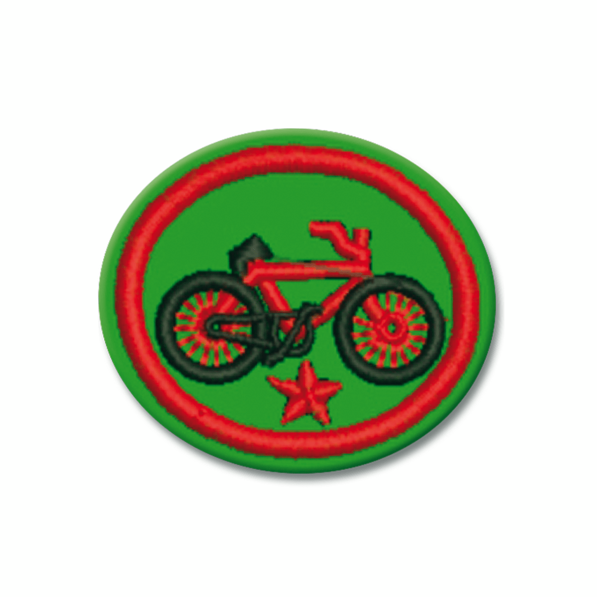 ESPECIALIDAD DE CICLISMO AVANZADO - AR0421