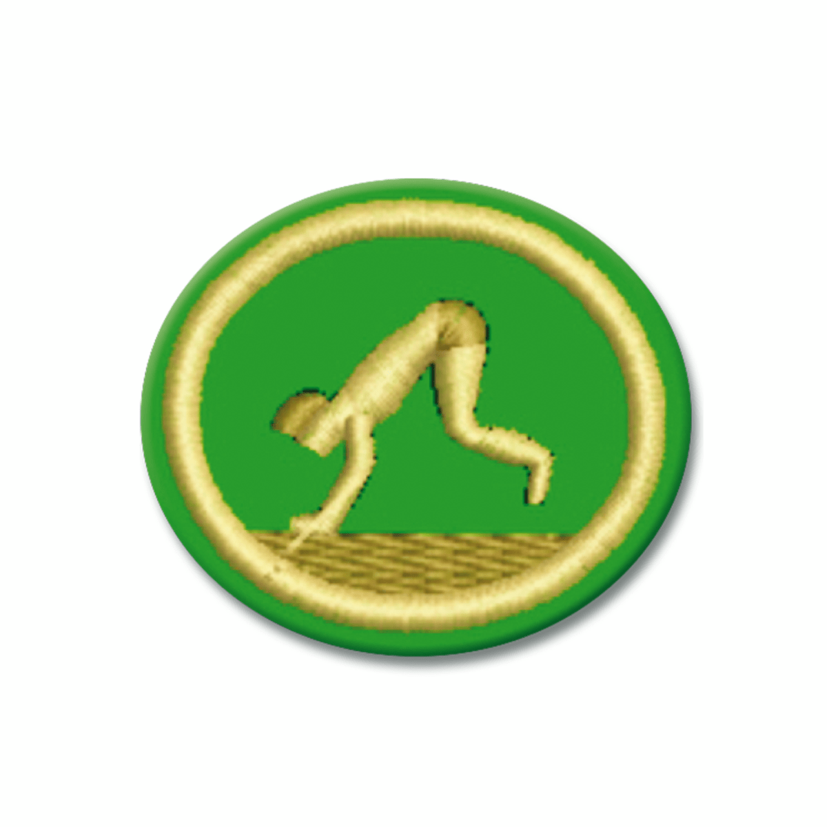 ESPECIALIDAD DE ACROBACIA Y EQUILIBRIO - AR0431