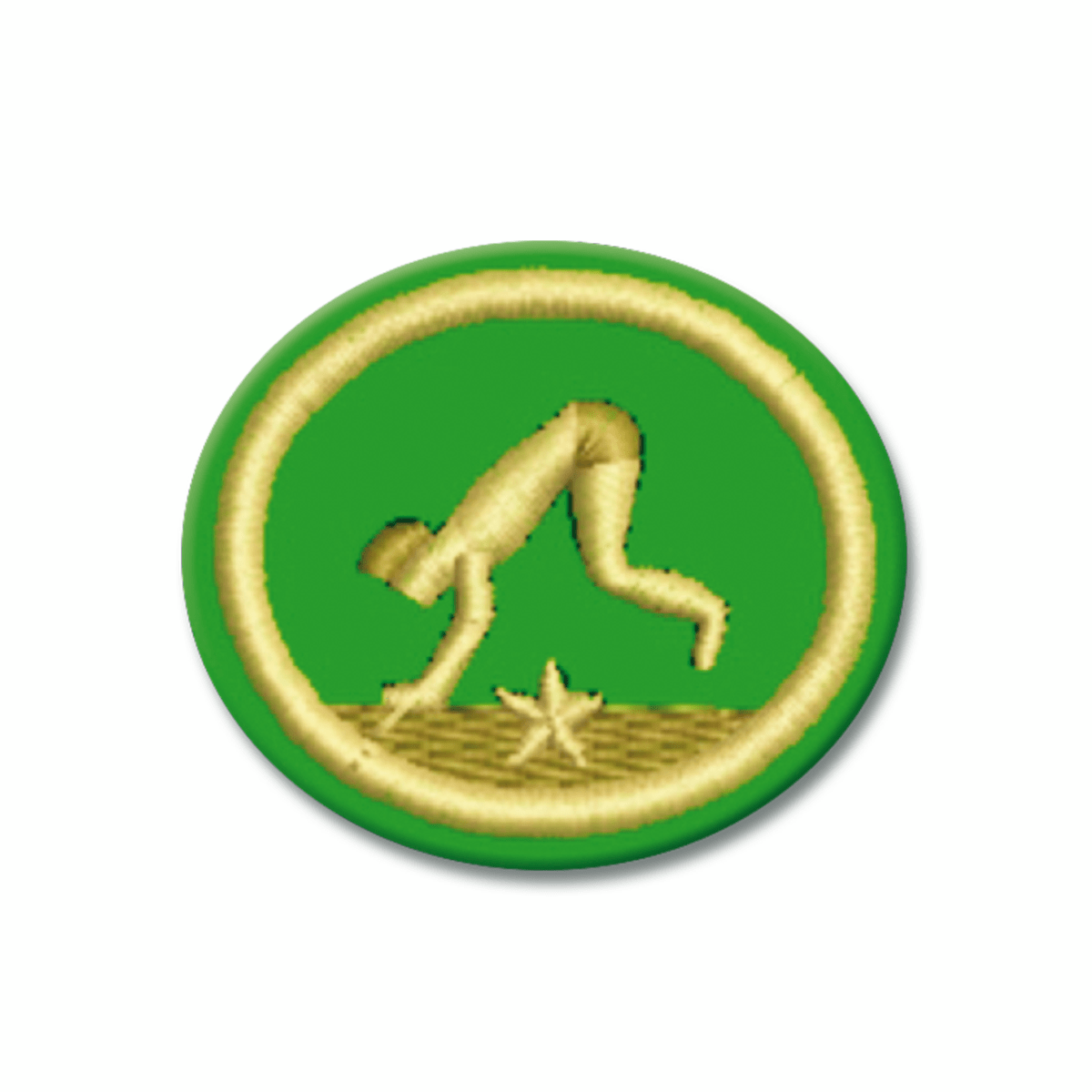 ESPECIALIDAD DE ACROBACIA Y EQUILIBRIO AVANZADO - AR0431