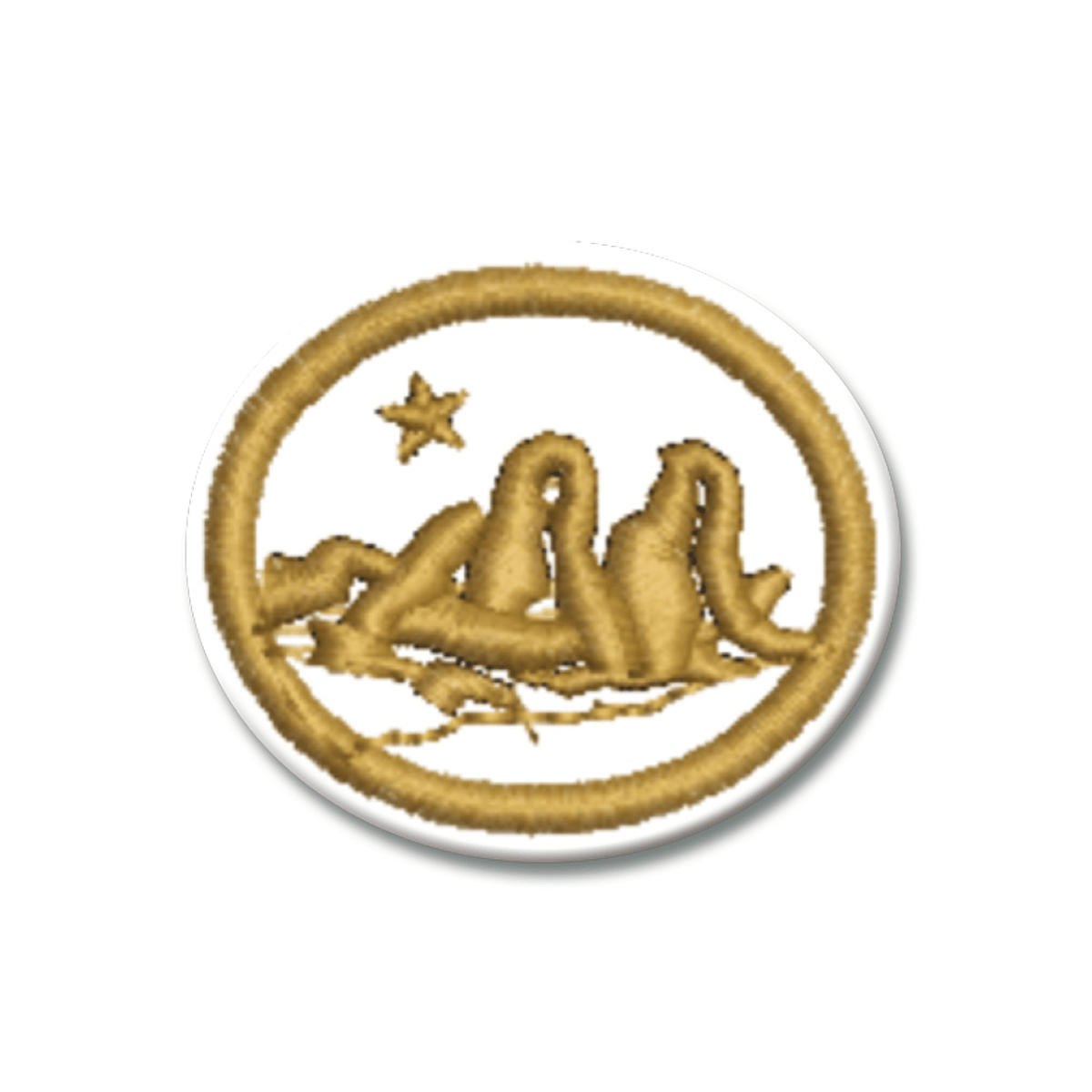 ESPECIALIDAD DE GEOLOGÍA AVANZADO - EN0481