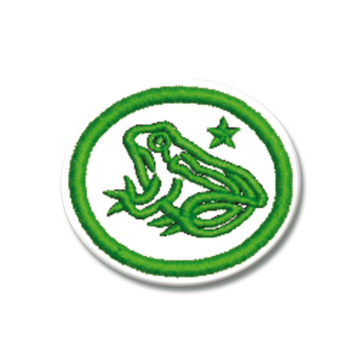 ESPECIALIDAD DE ANFIBIOS AVANZADO - EN0541