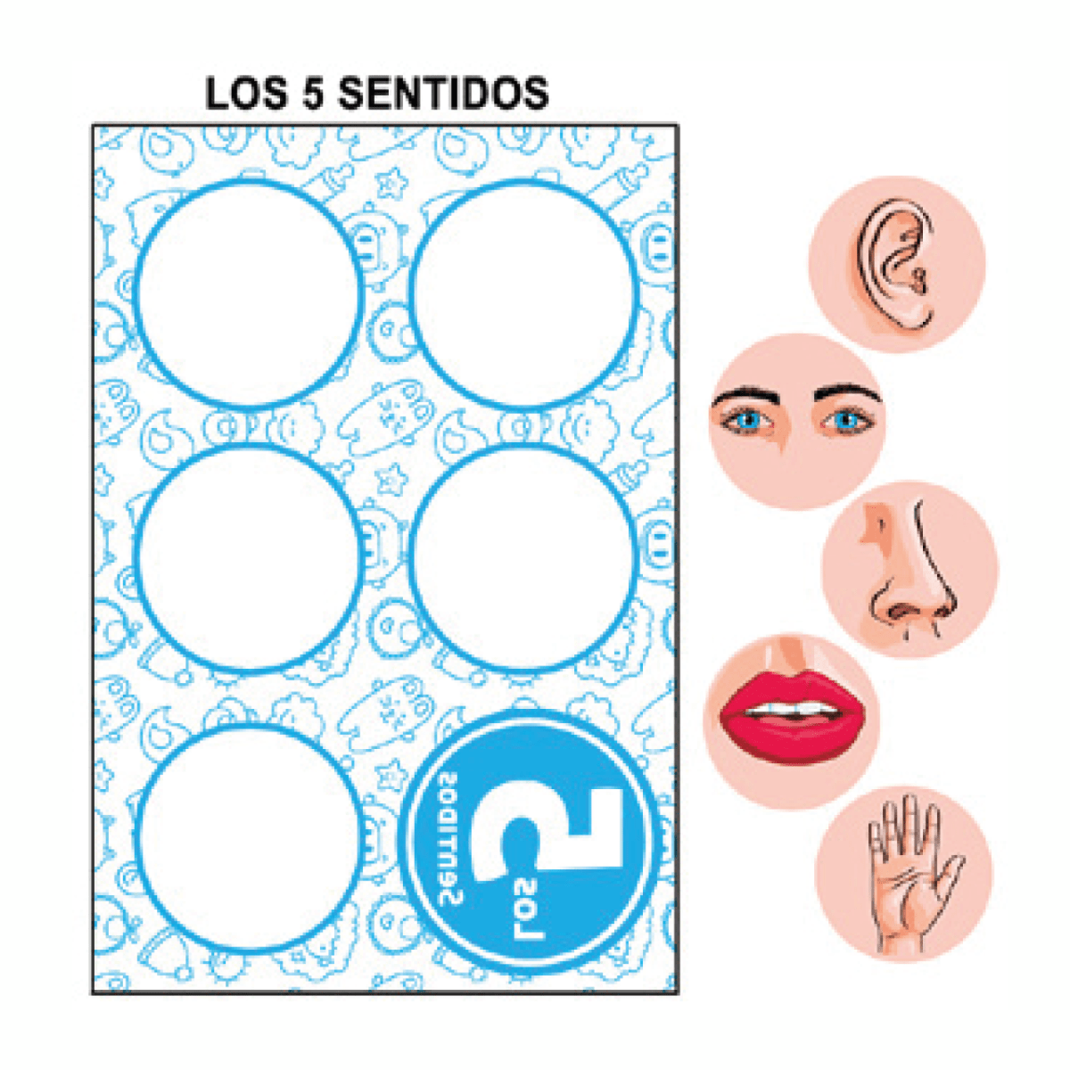 5 SENTIDO ( 65 X 66CM )1