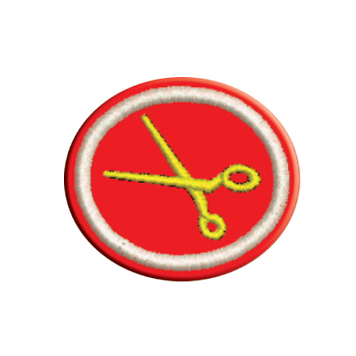 ESPECIALIDAD DE  CORTE Y CONFECCIÓN - AP0081