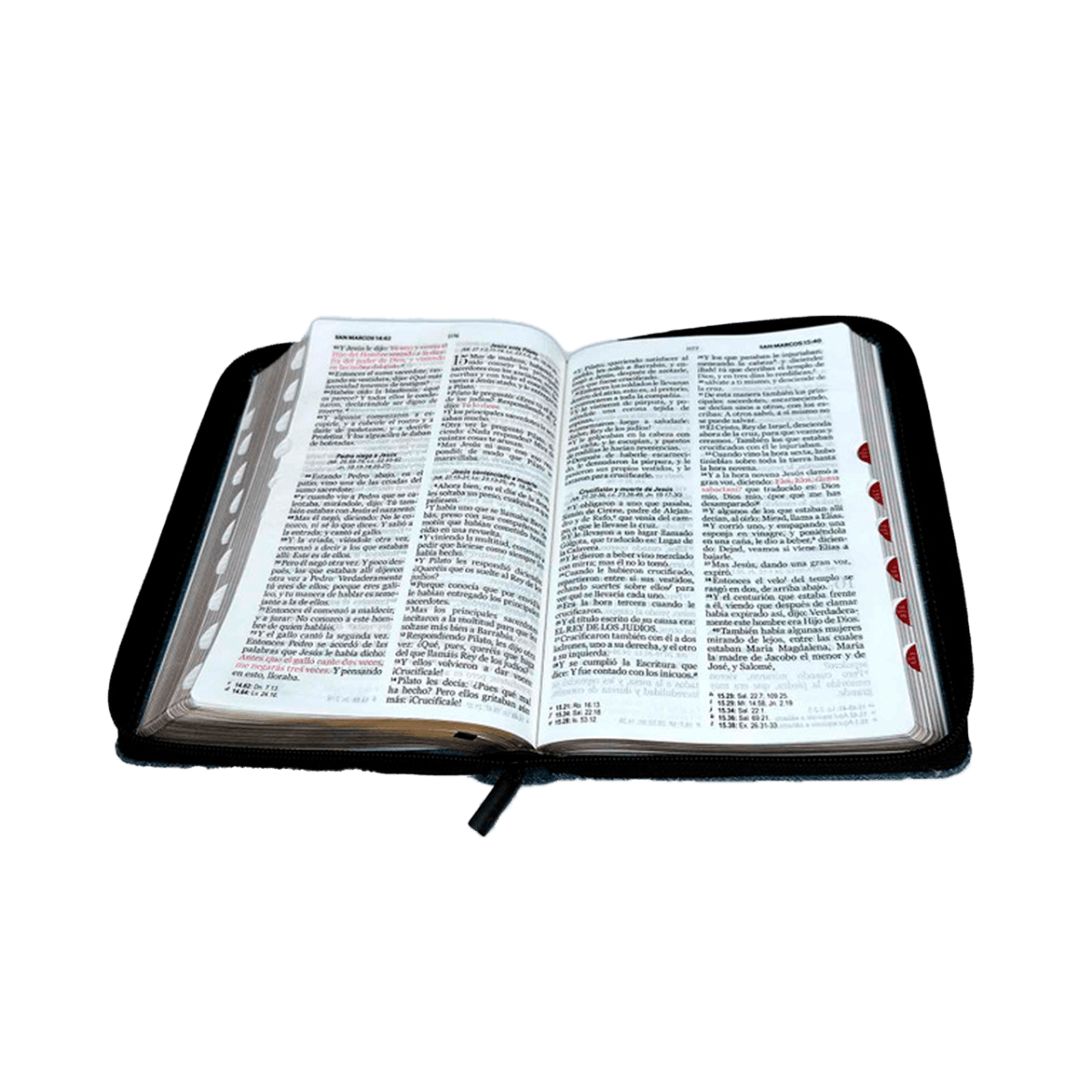 Biblia Reina Valera 1960 Letra Grande Funda Cremallera3