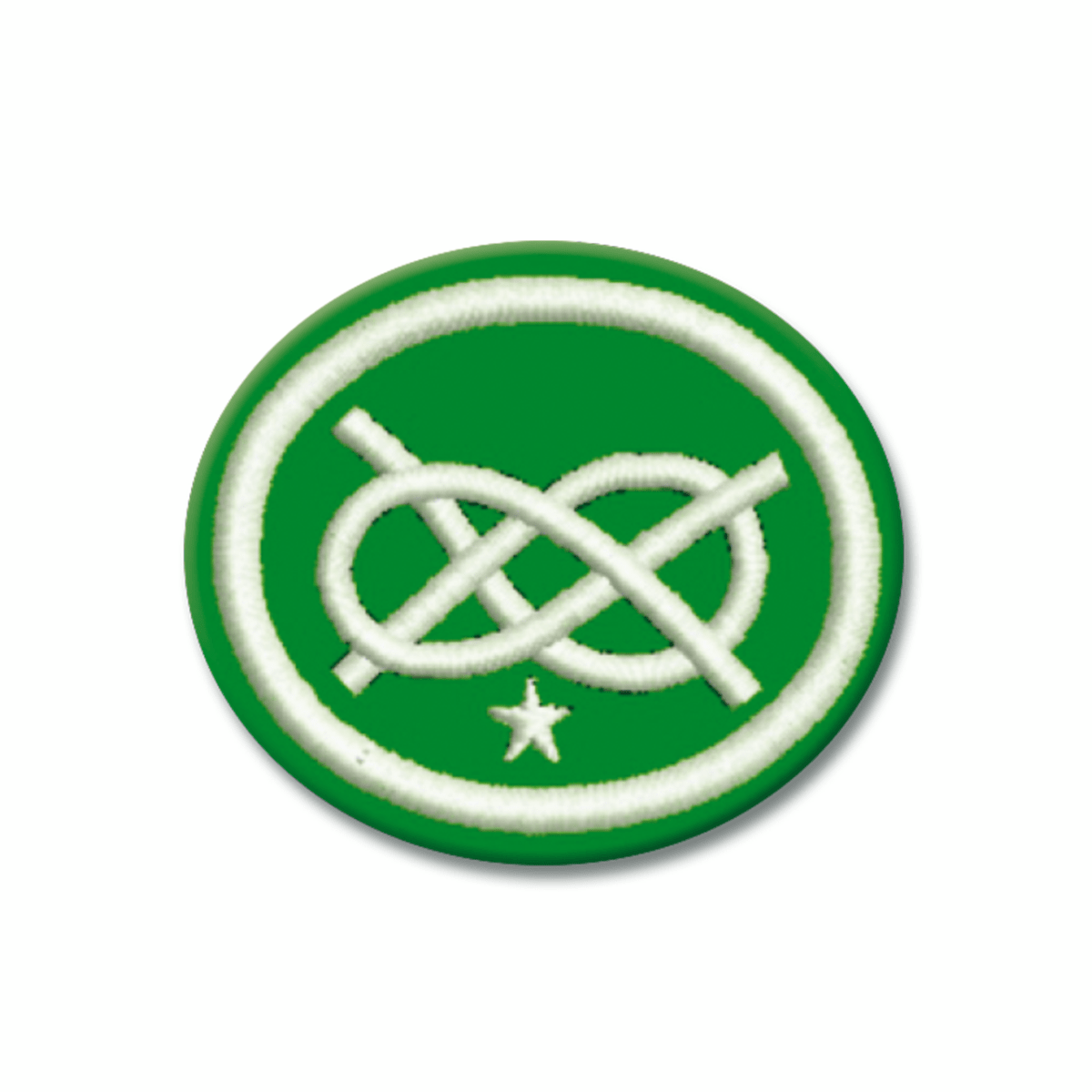 ESPECIALIDAD DE NUDOS Y AMARRAS AVANZADO - AR0991