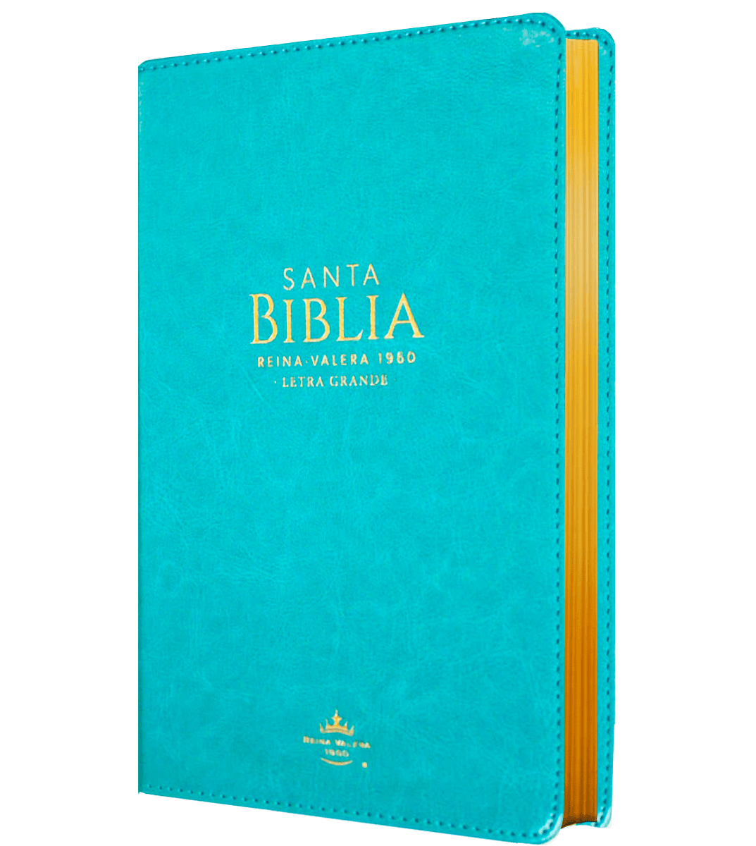 BIBLIA REINA VALERA 1960 - TURQUESA1