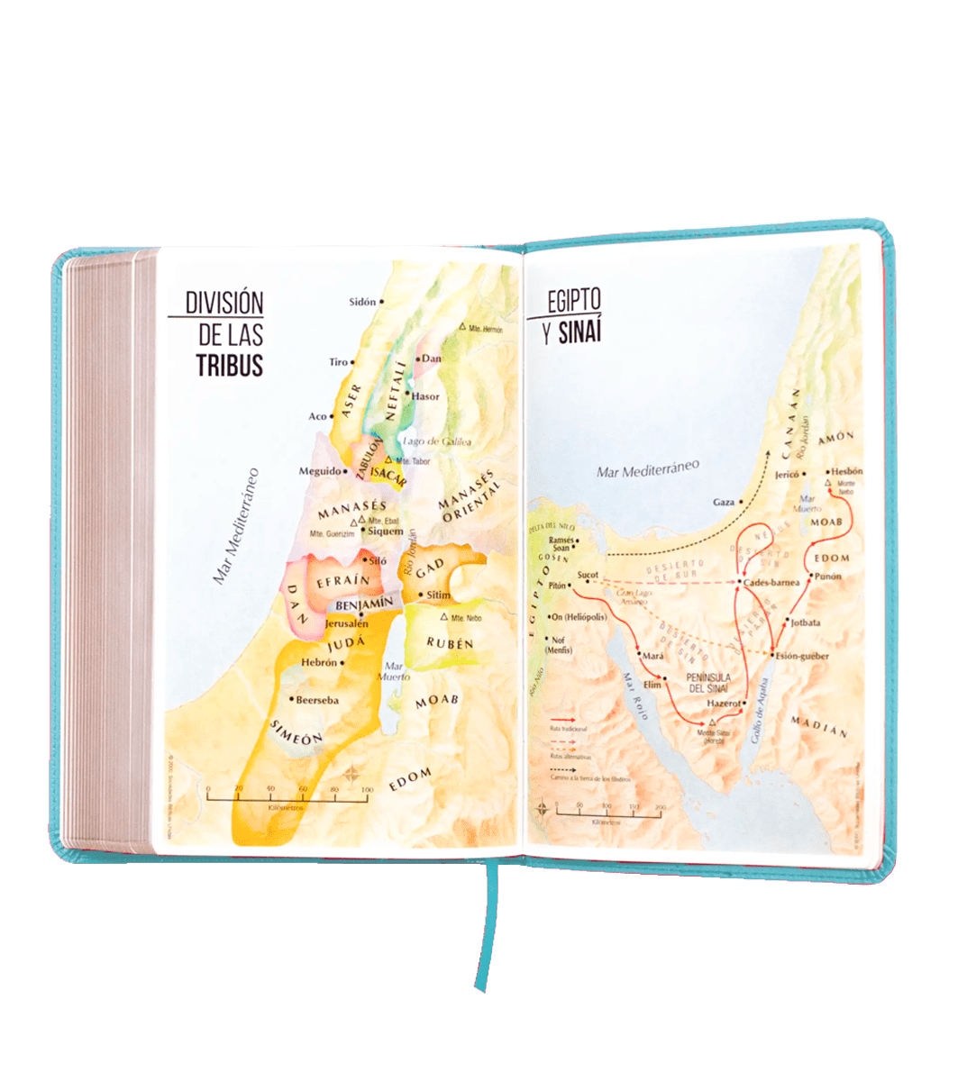 BIBLIA REINA VALERA 1960 - TURQUESA2