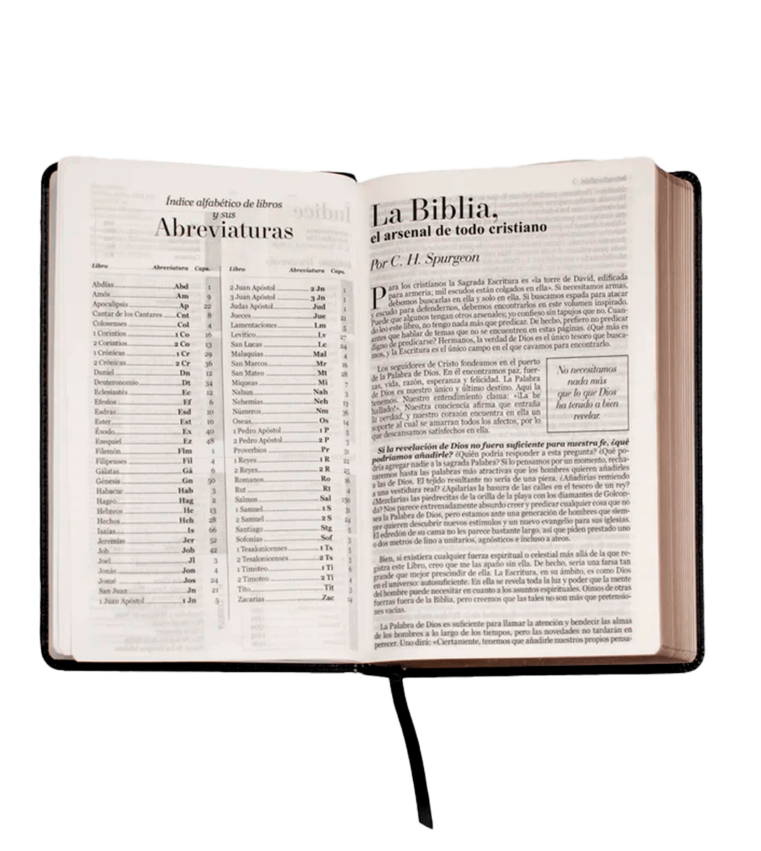 BIBLIA REINA VALERA 1960 -  NEGRO5