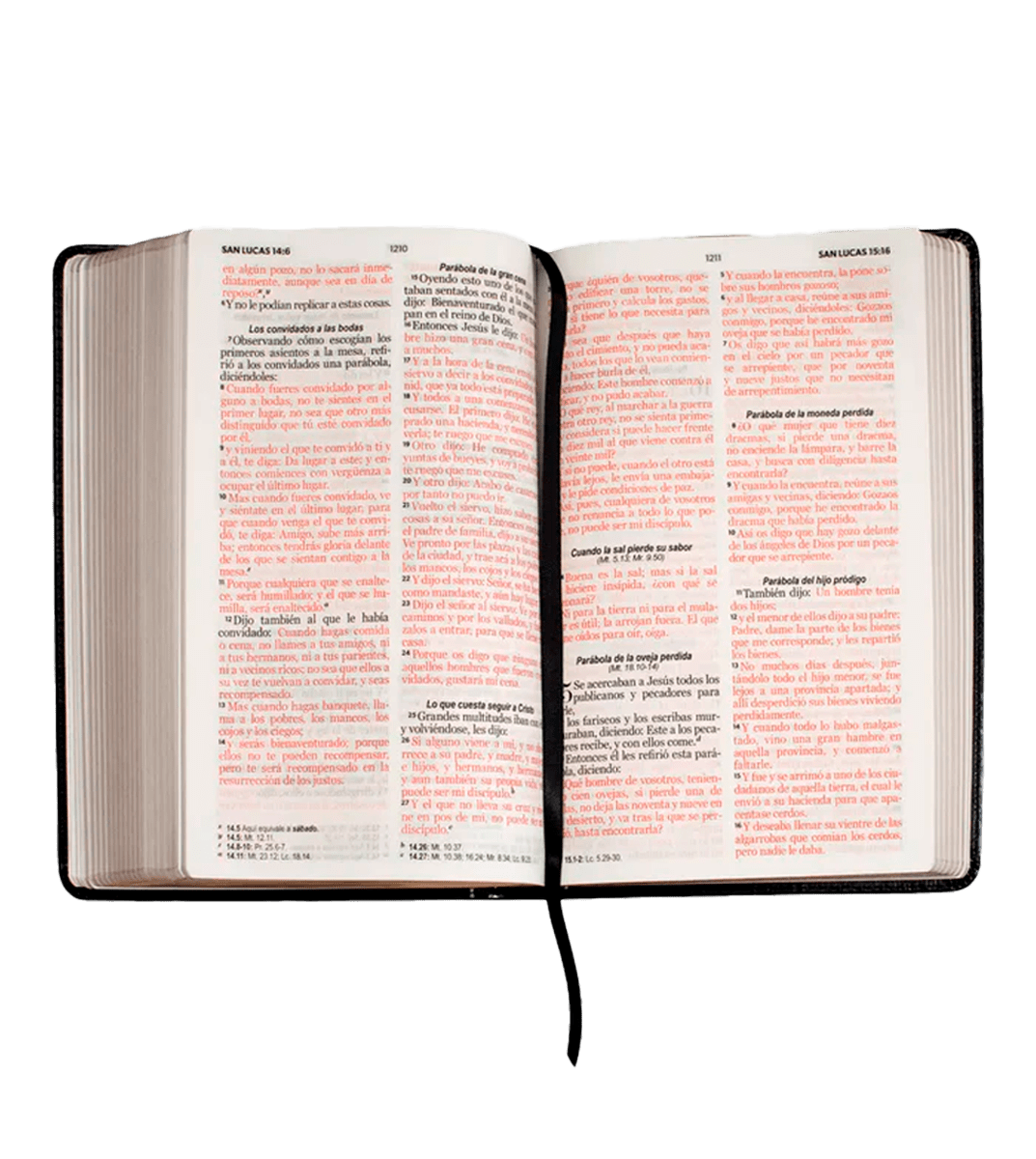 BIBLIA REINA VALERA 1960 -  NEGRO2