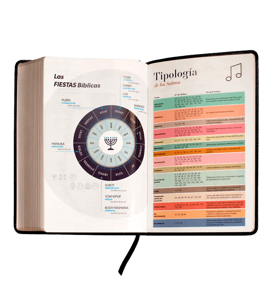 BIBLIA REINA VALERA 1960 -  NEGRO4