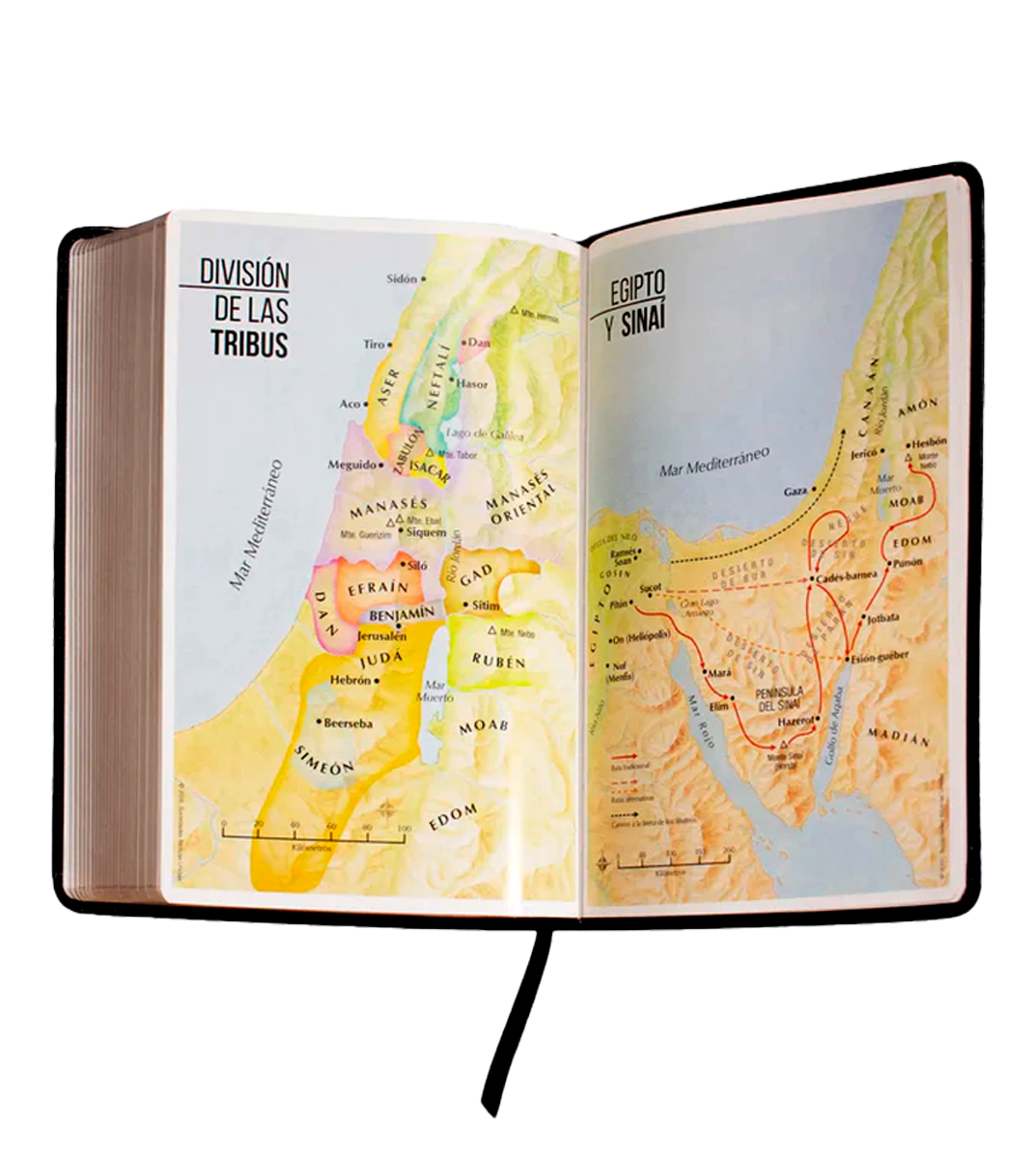 BIBLIA REINA VALERA 1960 -  NEGRO3