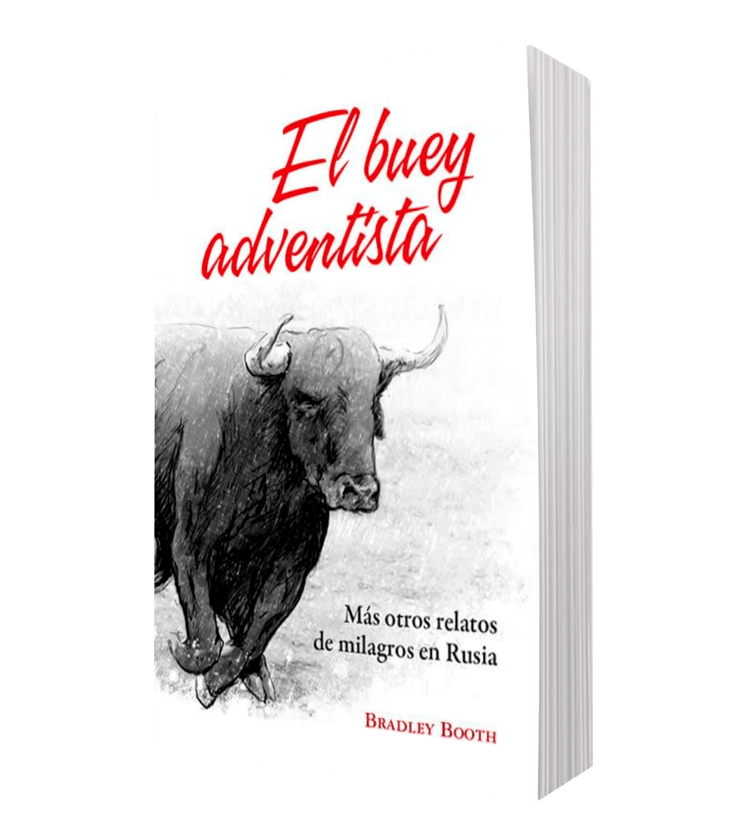 EL BUEY ADVENTISTA2