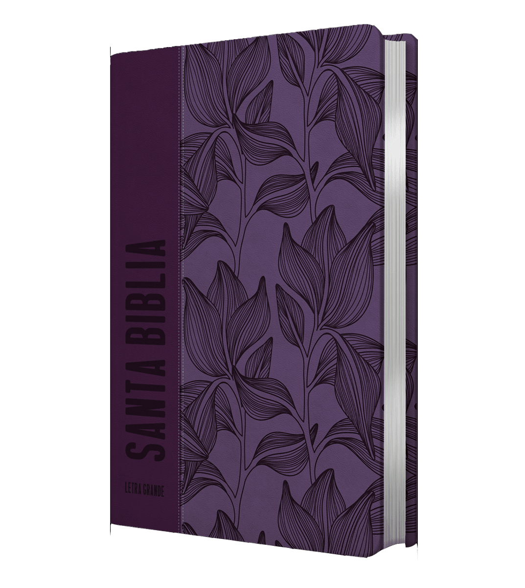 BIBLIA LETRA GRANDE MORADA - NRV 20002