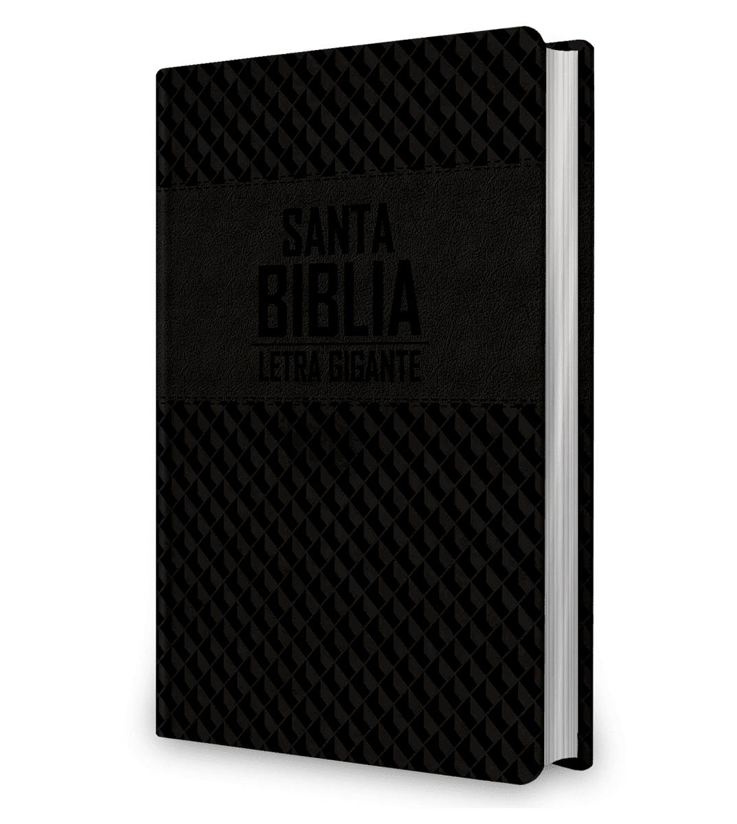 BIBLIA LETRA GIGANTE NEGRA - NRV 20001