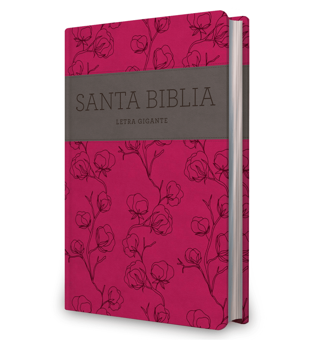BIBLIA LETRA GIGANTE ROSADA - NRV 20002