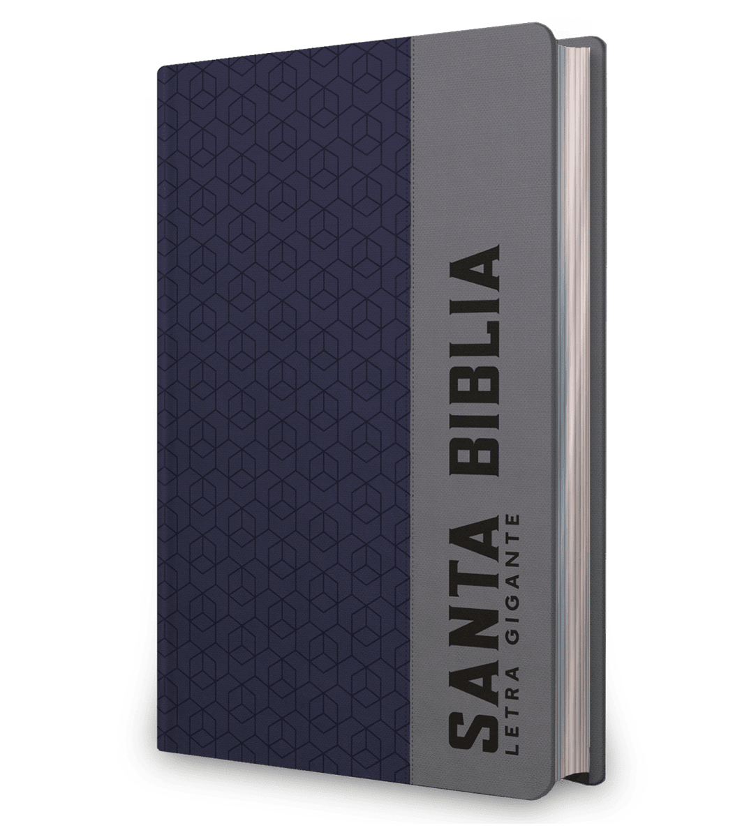 BIBLIA LETRA GIGANTE PLOMA -NRV 20001