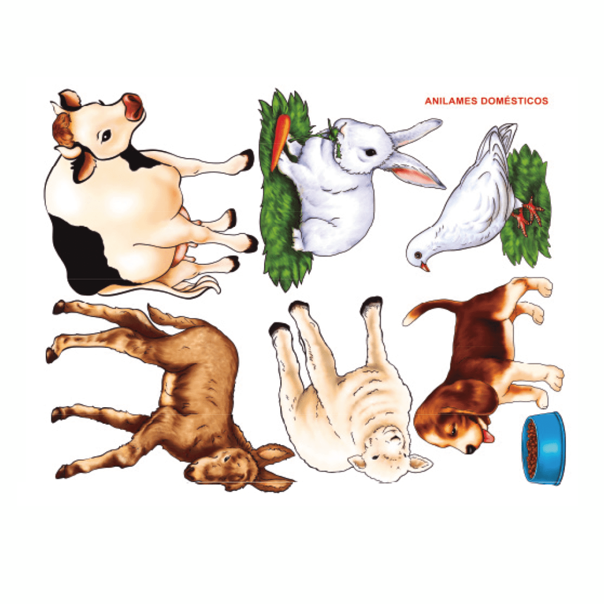 ANIMALES DOMÉSTICOS1