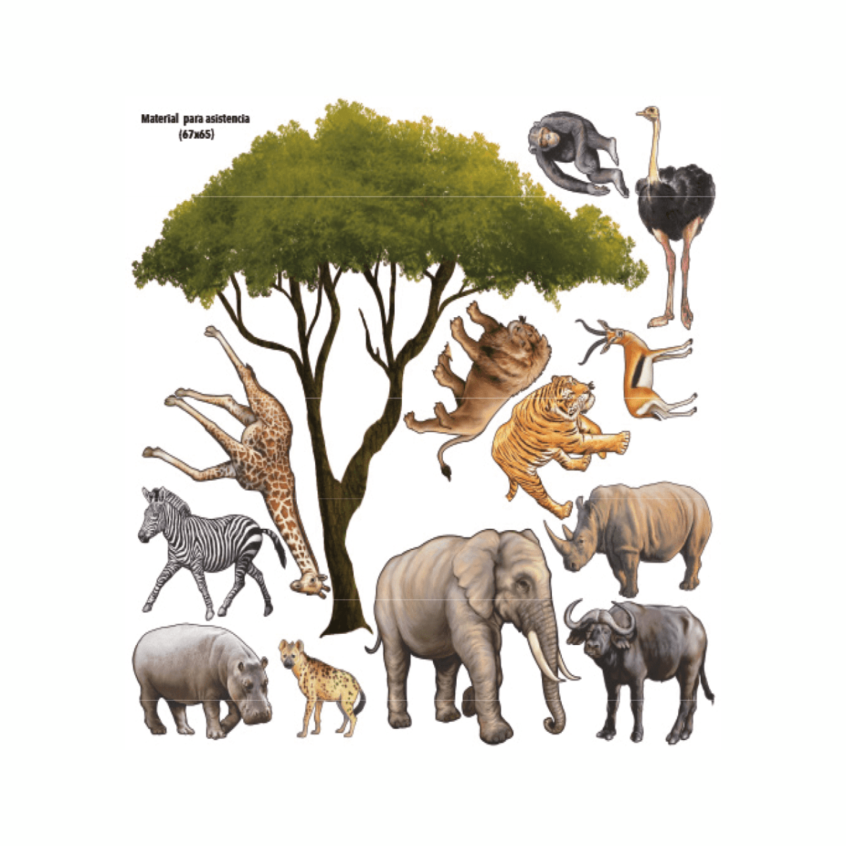 MATERIAL PARA ASISTENCIA cód1091