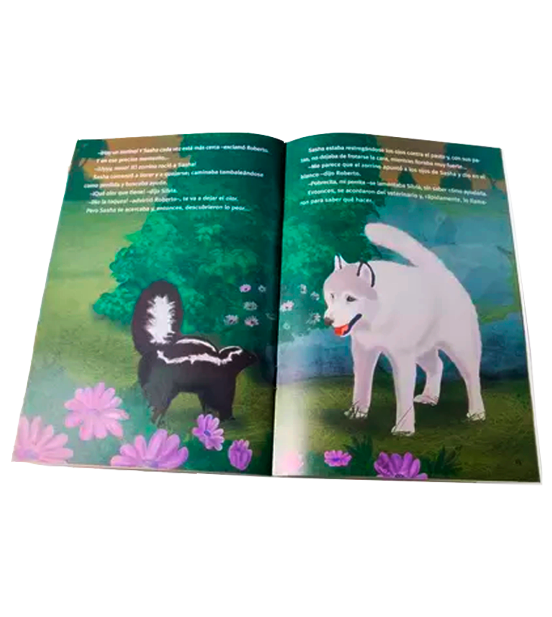 SASHA UN NUEVO CAMINO PARA SASHA2