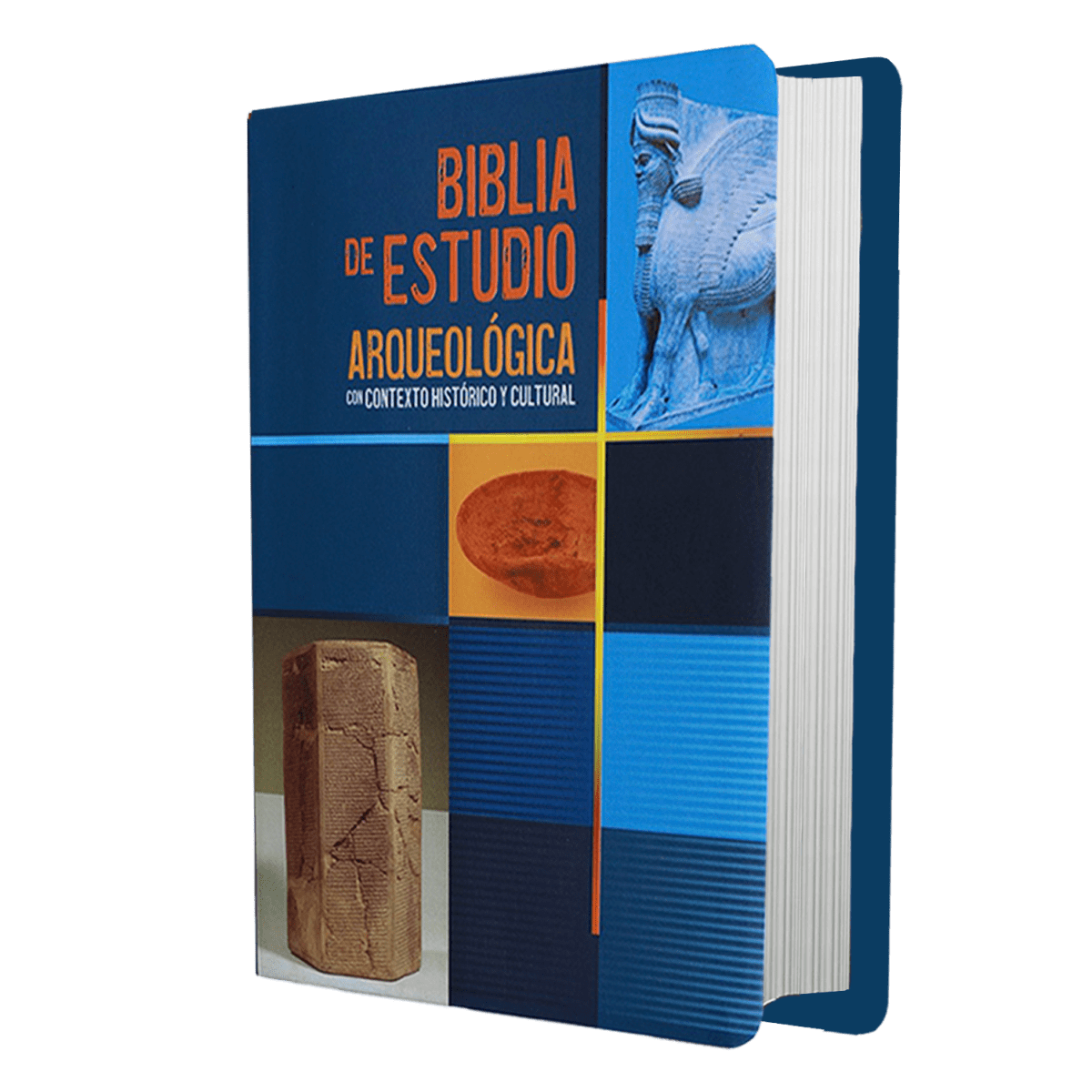 SANTA BIBLIA ARQUEOLÓGICA - CUERO GENUINO1