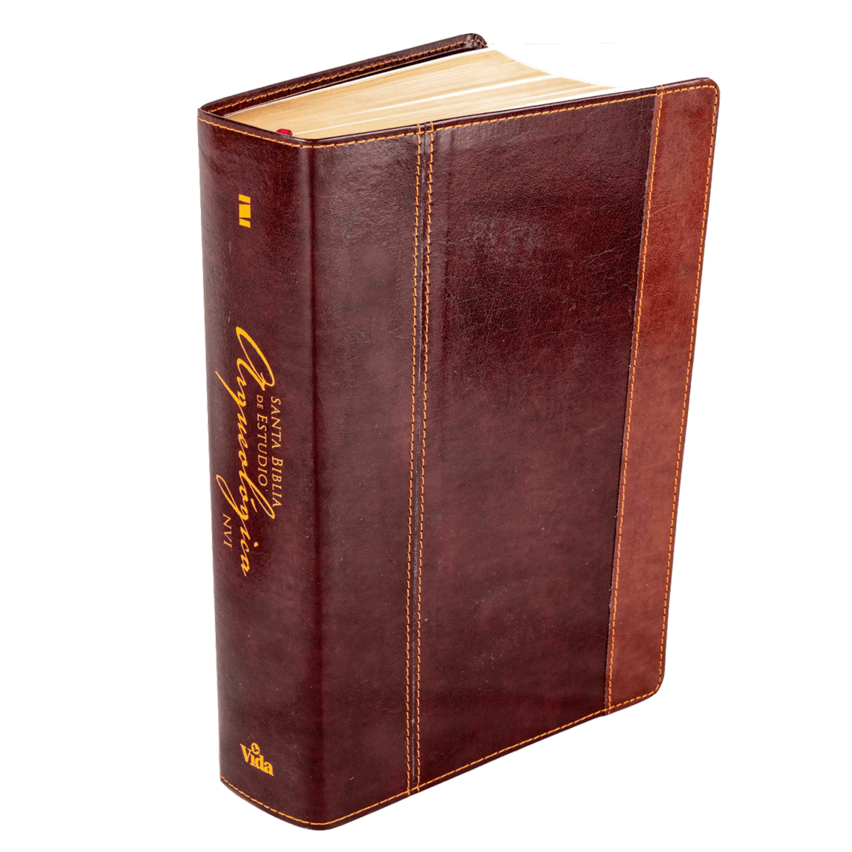 SANTA BIBLIA ARQUEOLÓGICA - CUERO GENUINO3