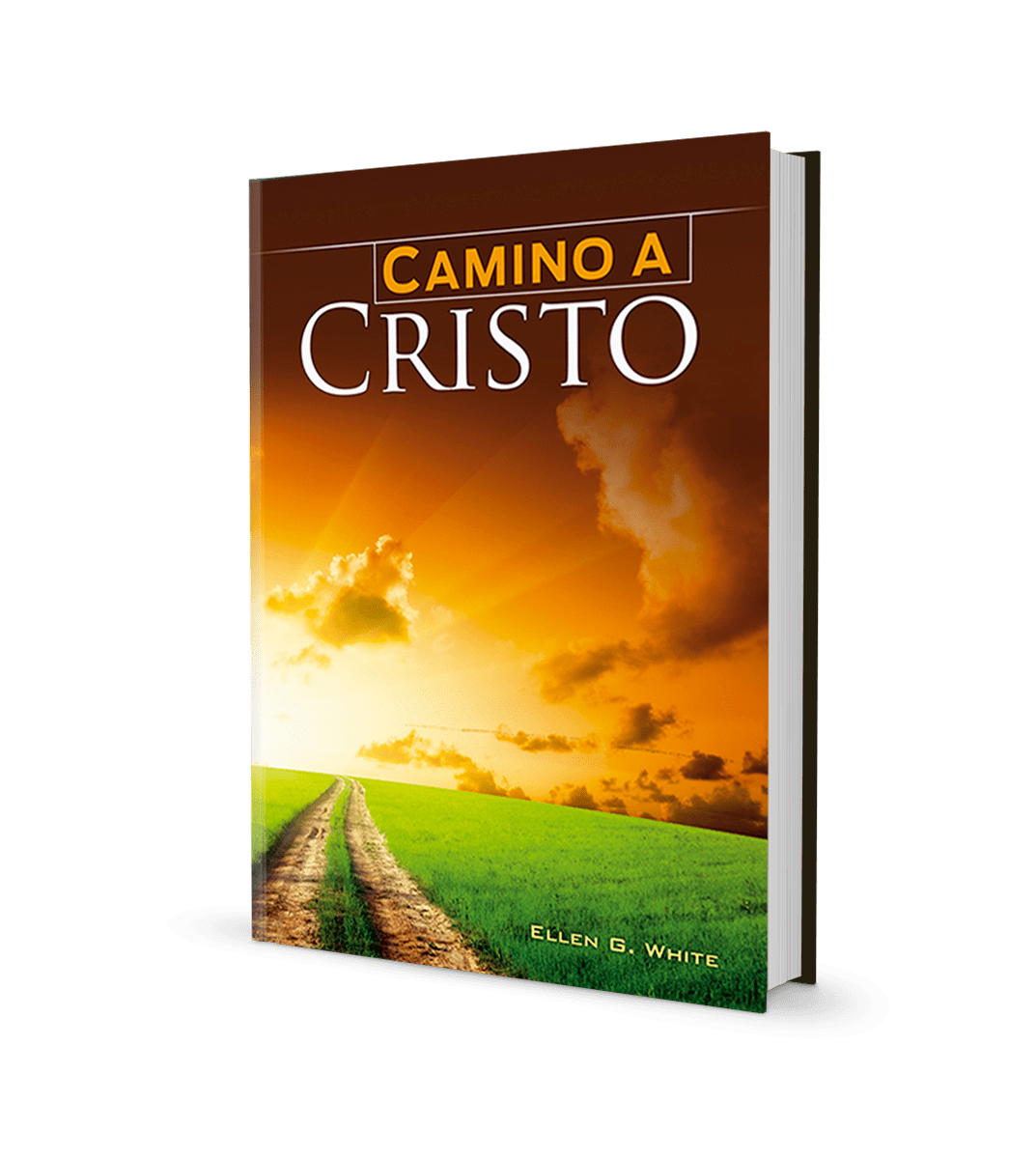 EL CAMINO A CRISTO (ILUSTRADO)2
