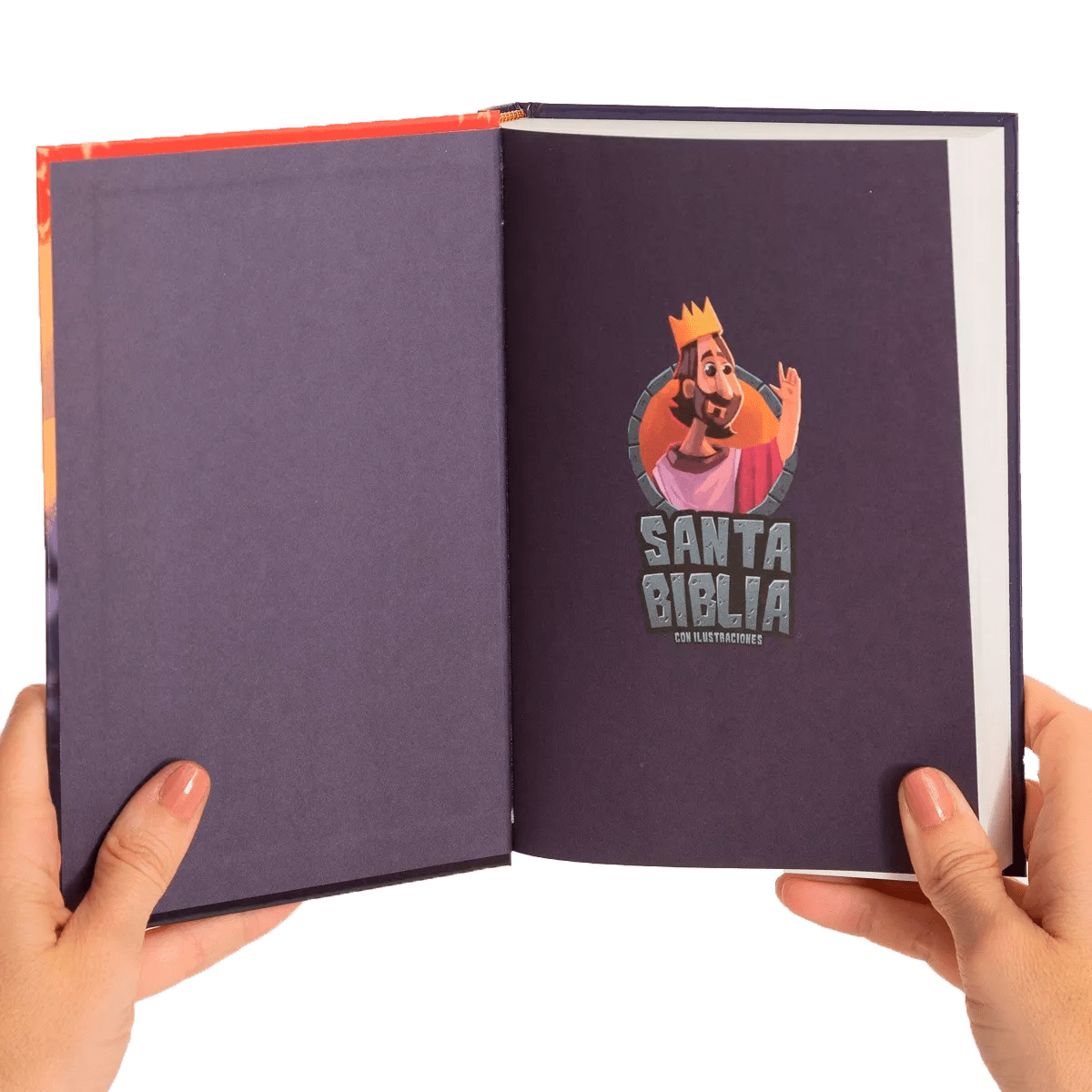 SANTA BIBLIA CON ILUSTRACIONES - JESÚS REY2