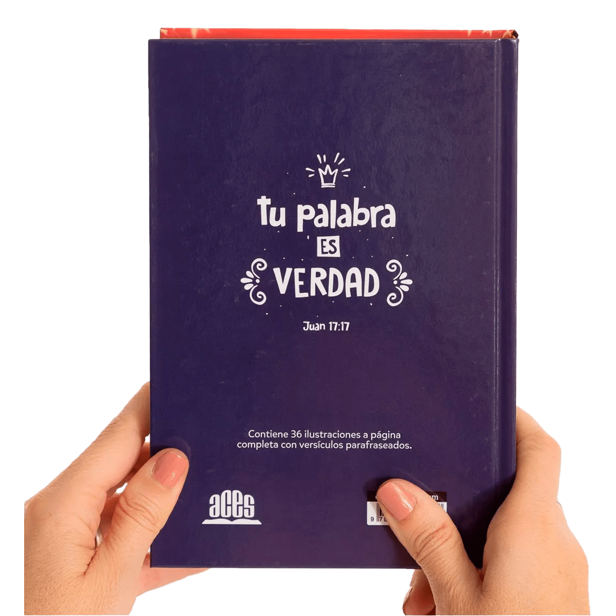 SANTA BIBLIA CON ILUSTRACIONES - JESÚS REY5