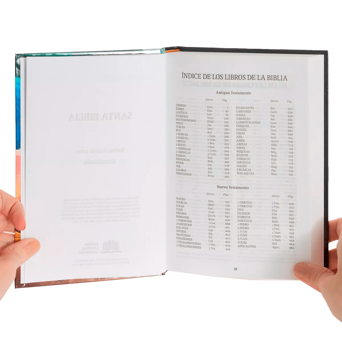 SANTA BIBLIA CON ILUSTRACIONES - JESÚS REY3