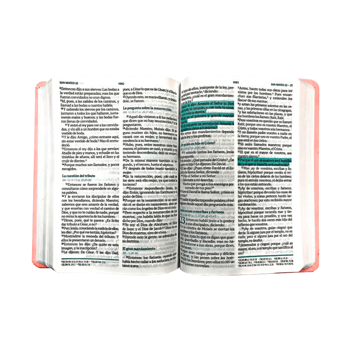 BIBLIA PEQUEÑA, ROSA CLARO CON CONCORDANCIA2