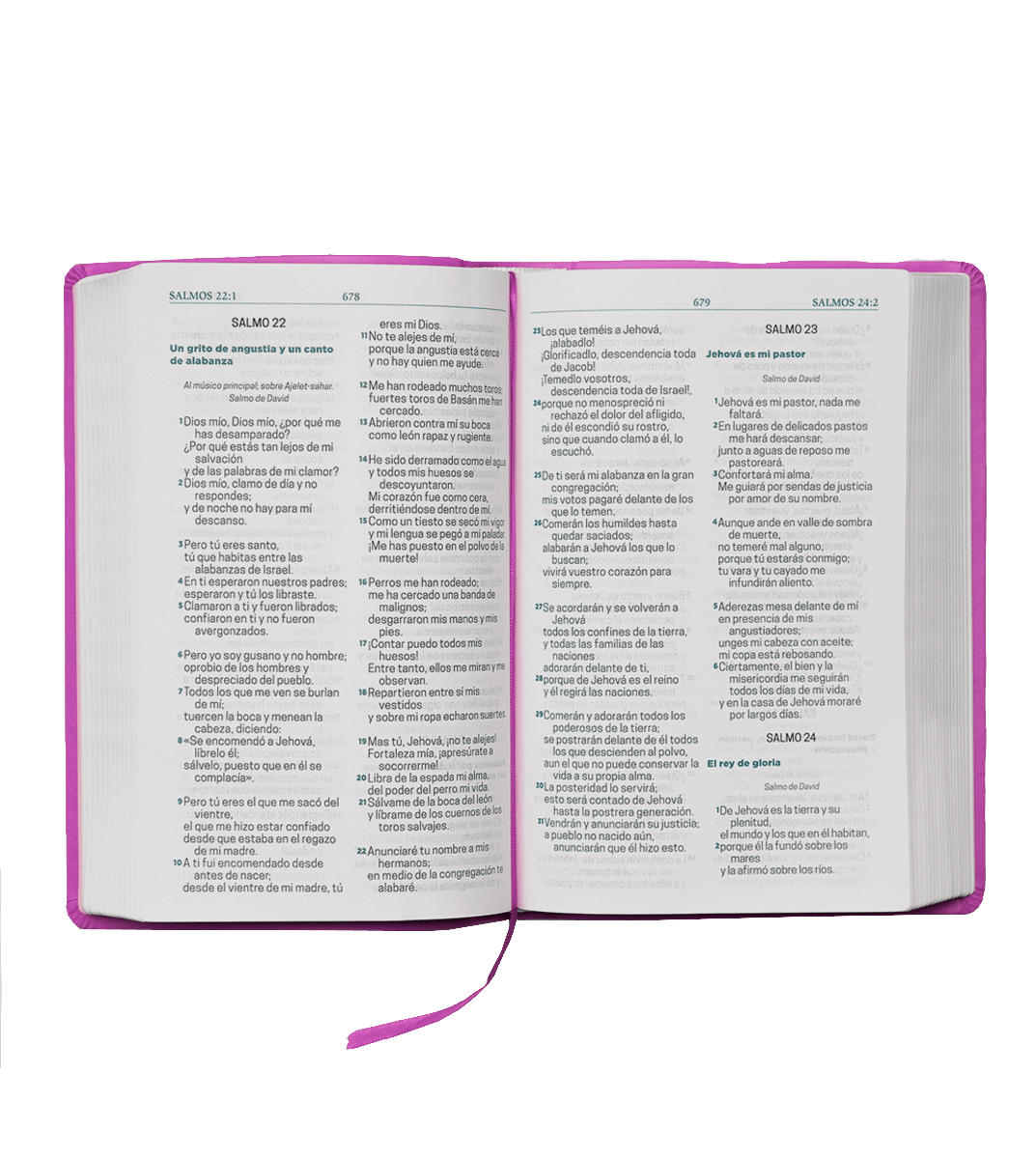 BIBLIA LETRA GIGANTE ROSADA - NRV 20001