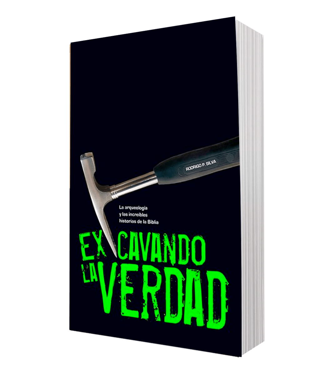 EXCAVANDO LA VERDAD2
