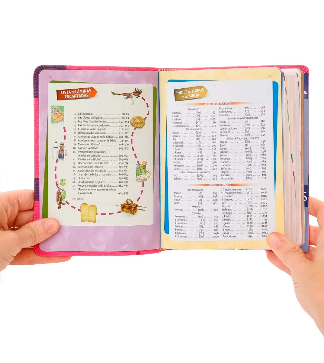 BIBLIA DE CONQUISTADOR - VERDE2