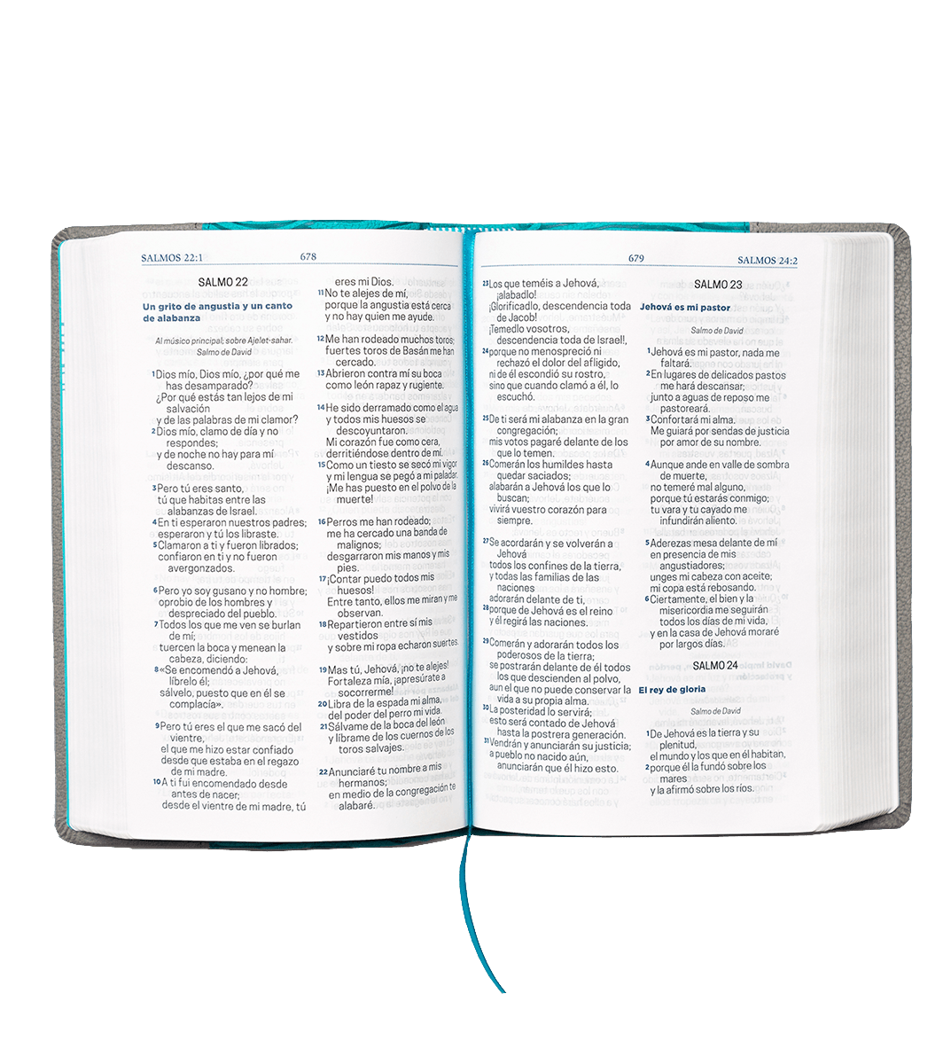 Biblia Letra Grande con Himnario - Verde agua y gris1