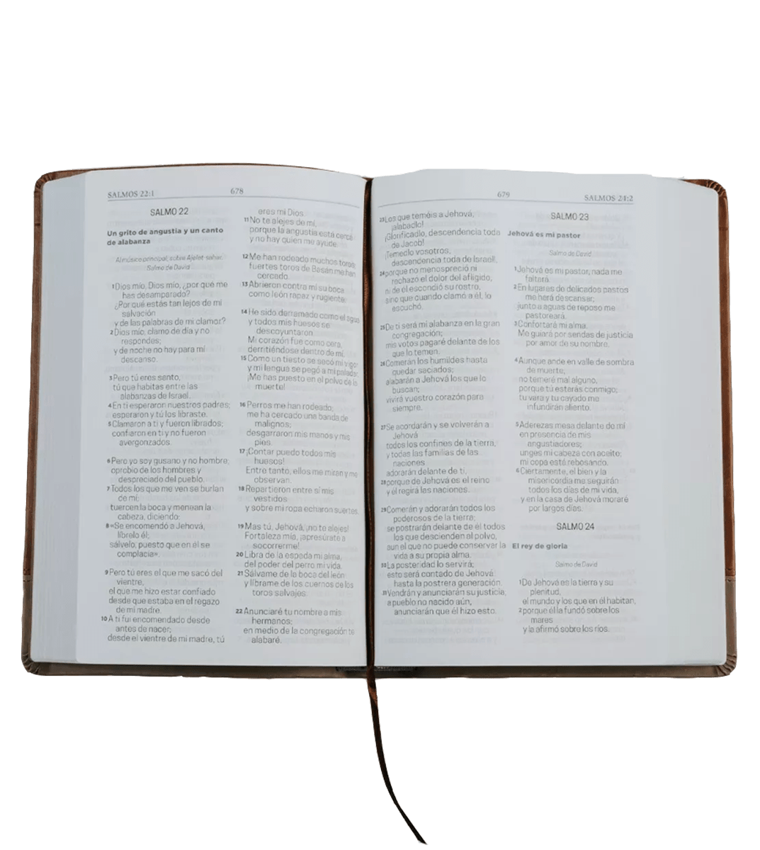 BIBLIA LETRA GIGANTE PLOMA -NRV 20002