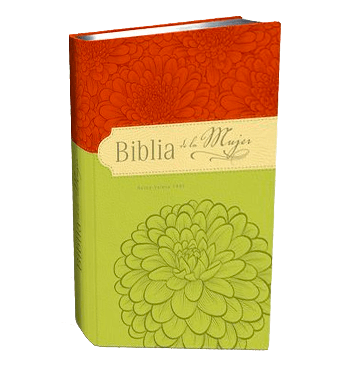 BIBLIA DE LA MUJER RV95 - VERDE/NARANJA1
