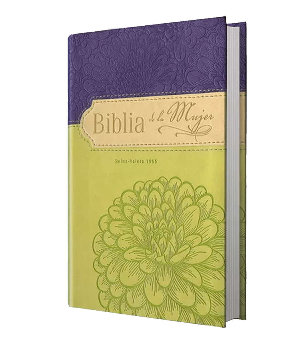 BIBLIA DE LA MUJER RV95 - VERDE/ VIOLETA2
