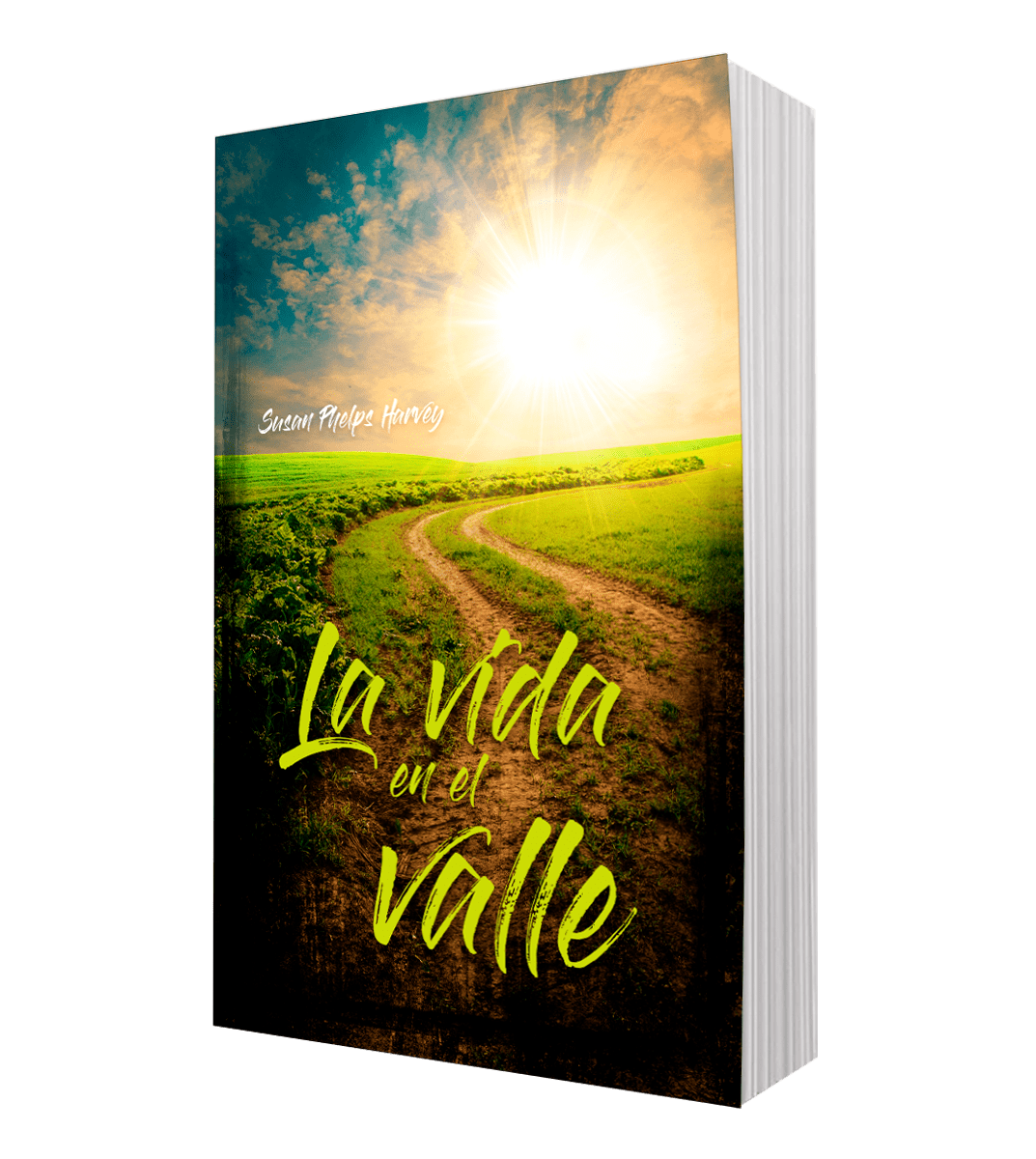 LA VIDA EN EL VALLE2