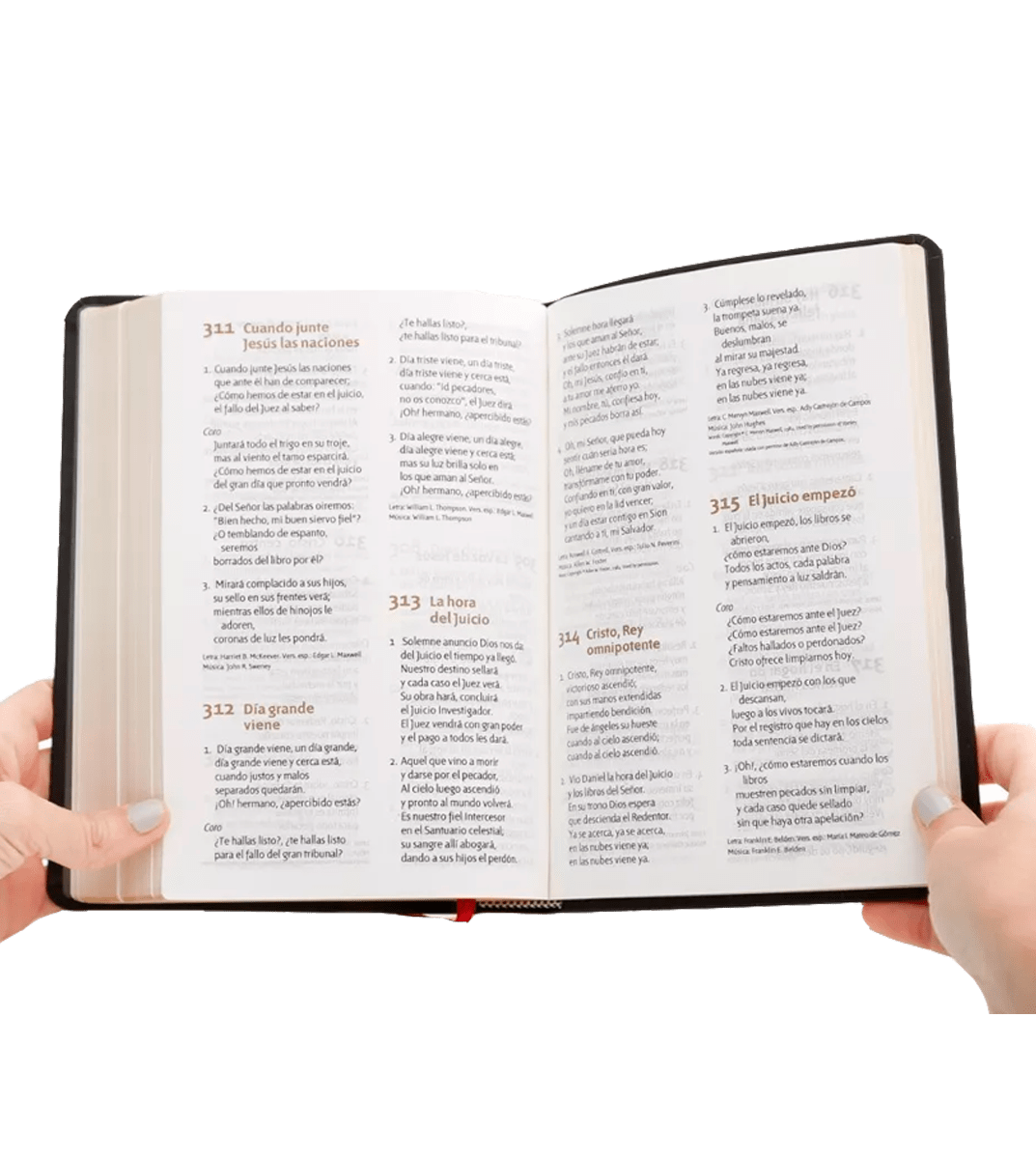 BIBLIA LETRA GRANDE MORADA - NRV 20001