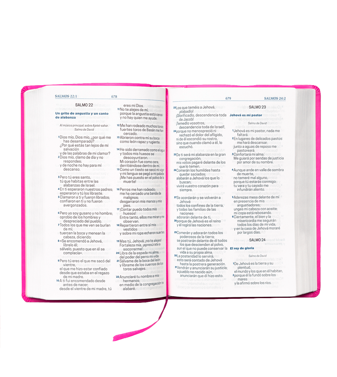 Biblia Letra Grande con Himnario - Fucsia1
