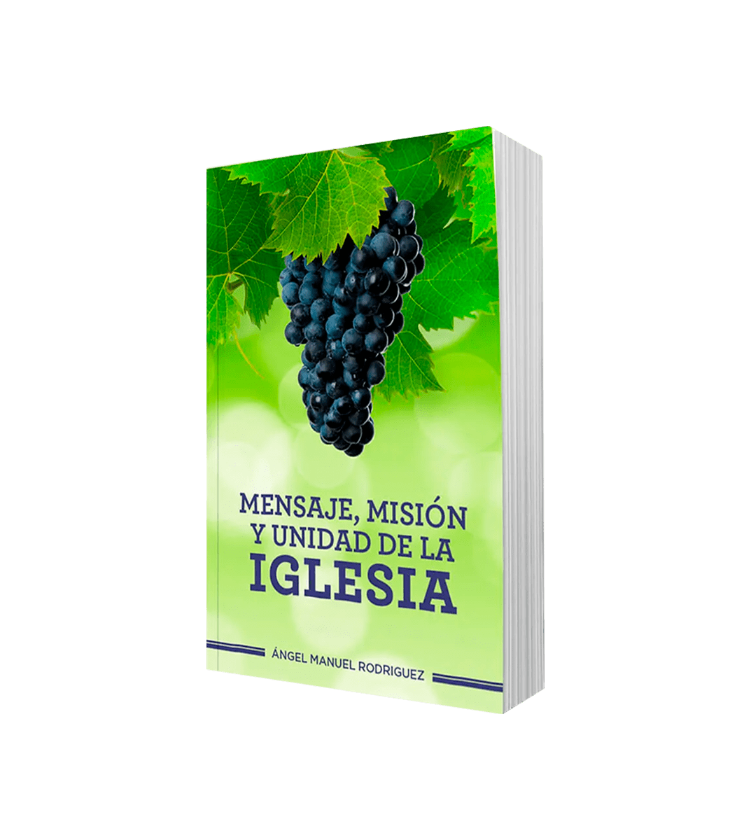 MENSAJE, MISIÓN Y UNIDAD DE LA IGLESIA2