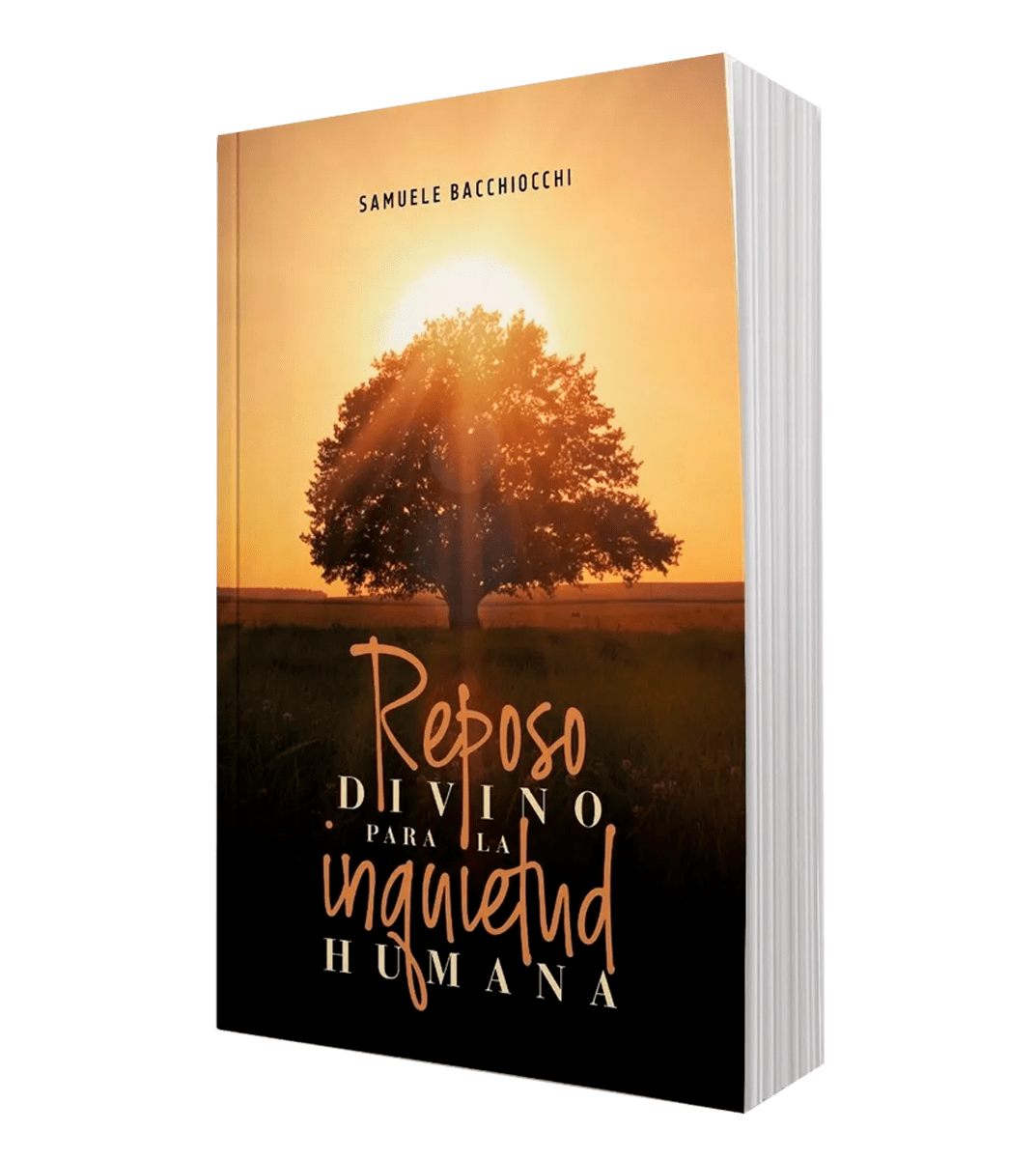 REPOSO DIVINO PARA LA INQUIETUD HUMANA1