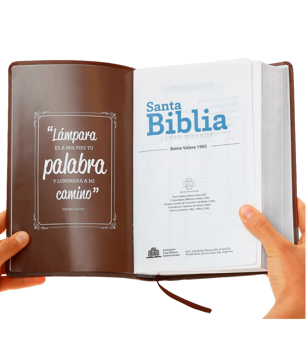 Biblia Letra Grande con Himnario - Granate y chocolate1