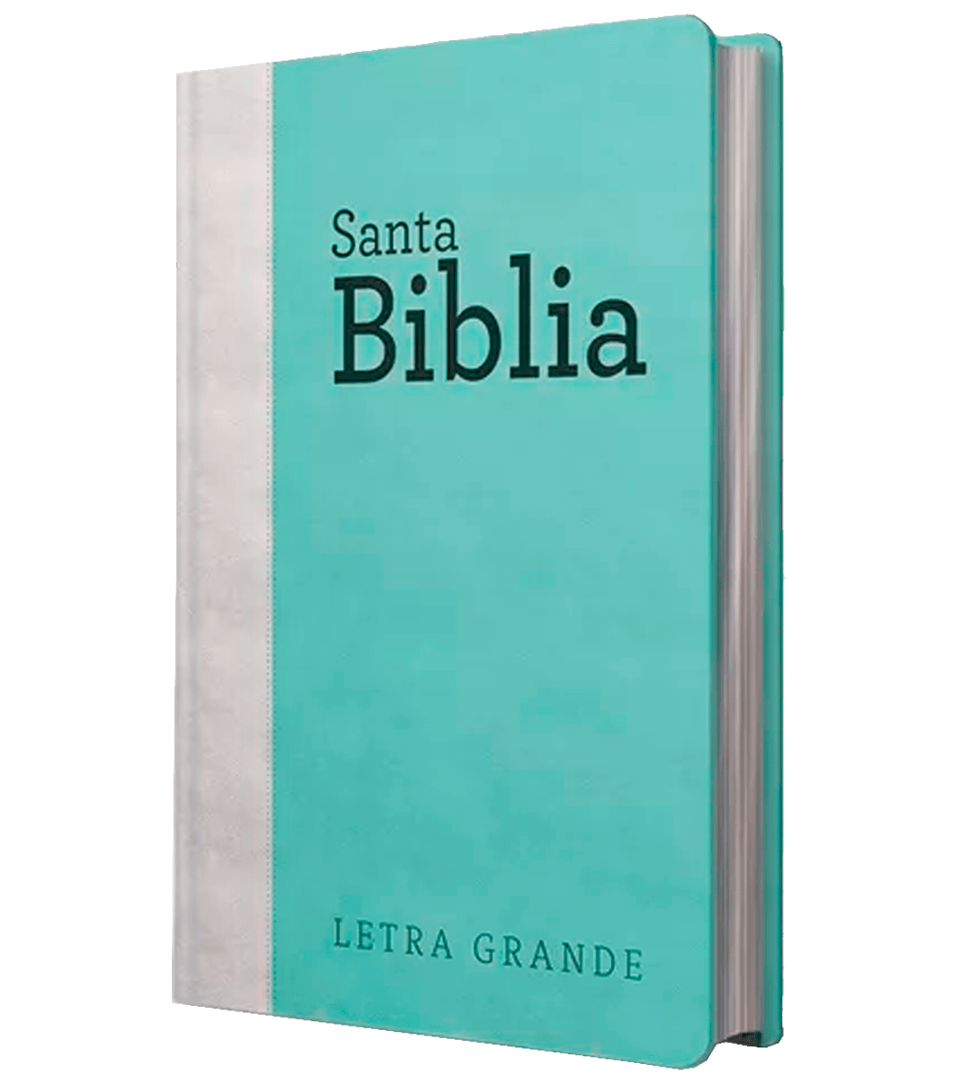 Biblia Letra Grande con Himnario - Verde agua y gris2
